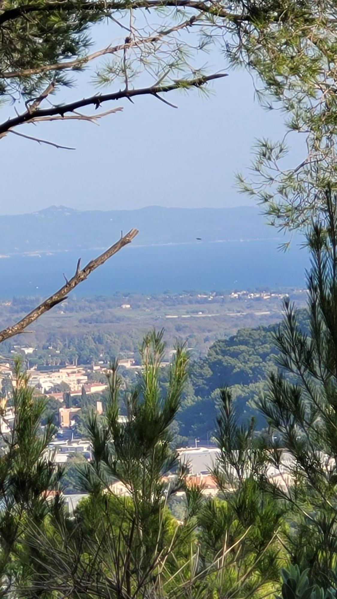 Apartment Les Marronniers *
