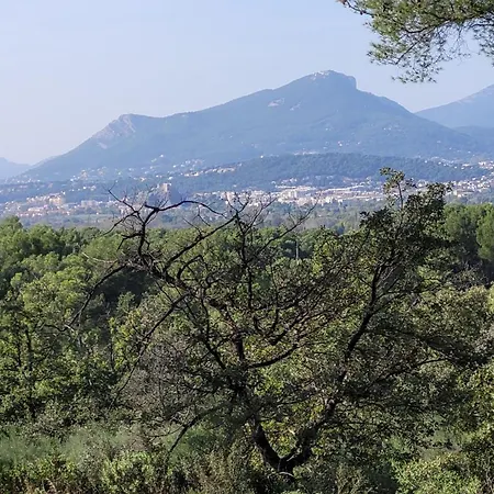 Appartamento Les Marronniers Six-Fours-les-Plages Esterno foto