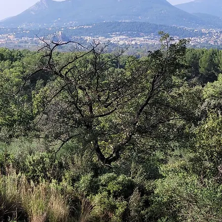 Appartamento Les Marronniers Six-Fours-les-Plages Esterno foto