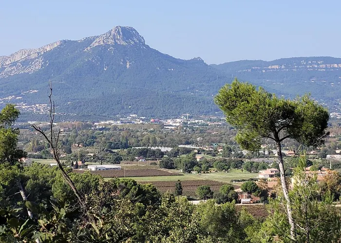 Les Marronniers